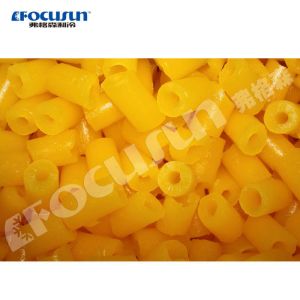 Industrial 10t Tube Ice Making Machine with Quick Freezing Function and