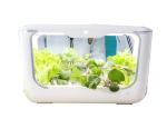 Self Watering Garden Germination Hydroponic Growing Systems