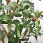 150cm Potted Artificial Olive Trees For Wedding Party Banquet