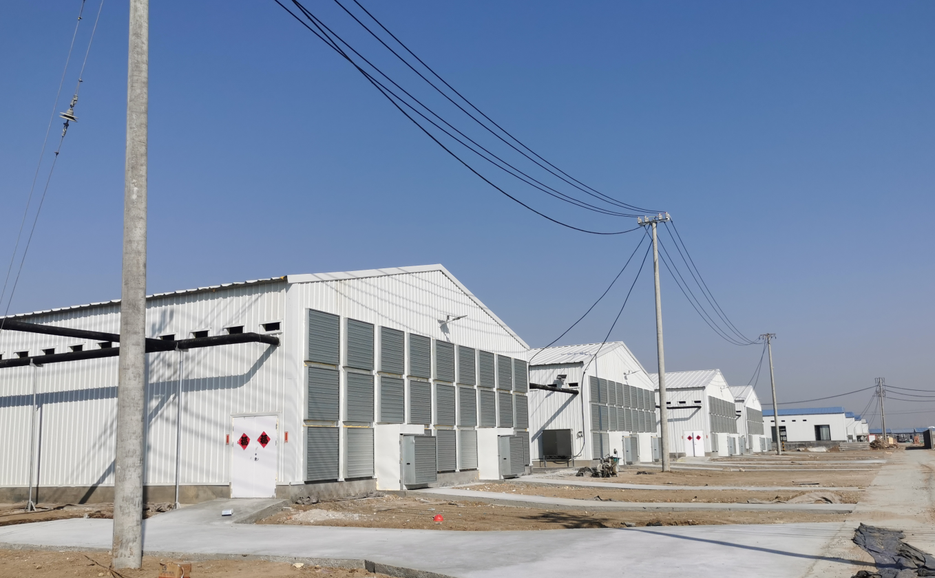 Q235B Galvanized Steel Structure Poultry House Bolts Connection Steel Chicken Houses