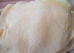 Semi Dried Squid Body White Color Little Additives Good Moisture