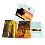 Offset Paper Brochure Printing Services Glossy Finish Hardcover sewn