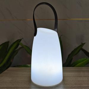 China Plastic Portable LED Lamp Wireless Remote Control For Garden on sale