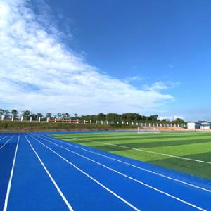 China Red and Blue Sports Track Rubber Interlocking Running Track factory