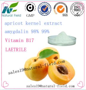 China direct manufacturer bitter apricot seed amygdalin powder vitamin b17 factory
