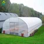 Greenhouse Tunnel Single-span Plastic Film for Agricultural Vegetables and