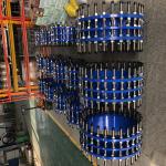 3 Inch 8 Inch Dismantling Joint Pn16 Ggg50 Cast Pipe Ductile Iron Double Flange