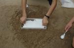 G035 BTSG-I Tridimensional footprint casting material kit