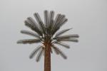 Q235 Artificial Bionic Pine Tree Steel Monopole Tower 50m