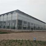 Hydroponic System Vegetable Venlo Glass Greenhouse Fully Automated Ventilation