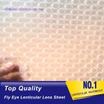 PLASTIC LENTICULAR PP materical 3d Fly eye lenticular film sheet with small dots
