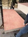 Anti Acid BB Grade 1250x2500mm Bintangor Plywood