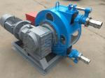 Durable Concrete Foam Transfer Industrial Peristaltic Pump Cycloidal Reducer