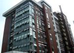 Thin veneer brick