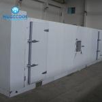 Assembled COLDROOM21 Customized Size Cold Storage Freezer/Chiller Room with