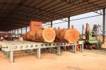 1200mm Wood Vertical Band Sawmill MJ3212 MJ3212B Wood Cutting Bandsaw