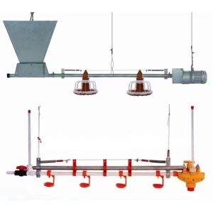 Automatic feeding system for broilers