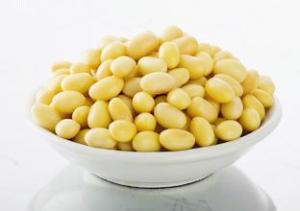 China Soybean P.E. Soy Isoflavone40% 80% women's health,agaist breast cancer, adjust Hormone, Shaanxi Yongyuan Bio-Tech factory