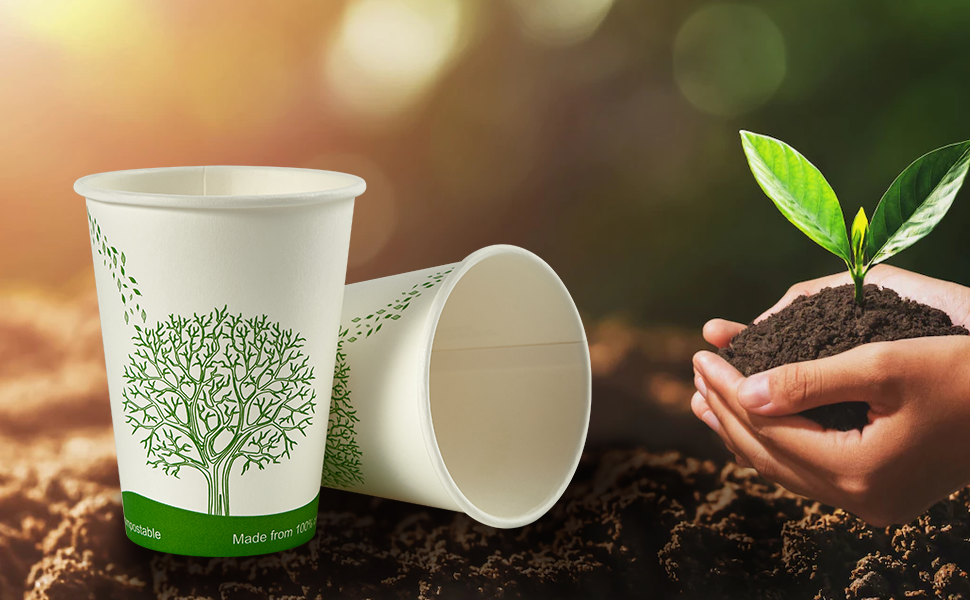 PLA cups