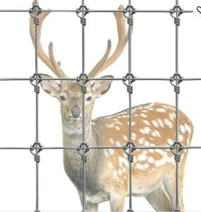 China Rot Proof Fixed Knot Steel Farm Field Fence for Safe and Secure Animal Containment factory