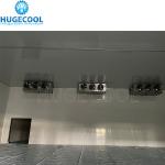 Medium Cold Room Refrigerator Quick Freezer Storages The Perfect Solution for