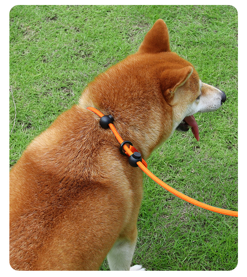 Pet Nylon P Chain Leash Dog Explosion-Proof Punch Handle Integrated Dog Walking Rope