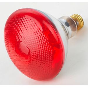 Livestock Infrared Heating Lamp Protective Lampshade Variable Temperature