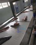 Squid Peeling Machine Tilapia Peeling Machine Stainless Steel Peeling Machine