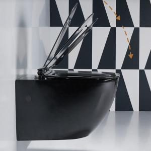 China Porcelain Hidden Plumbing Wall Hung Toilet With One Piece Structure factory