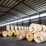 Aluminum Conductor 0.6/1kv XLPE Insulated Electrical ABC Cable for Third Party
