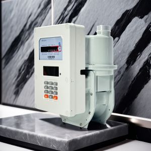 China LAN / WAN Prepaid Gas Meter with Self-routering Meshwork Connection Type PLC To Concentrator factory