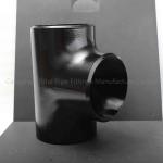 DN50 DN65 Steel Butt Weld Fittings ASTM WPB Seamless Eccentric Reducing Tee