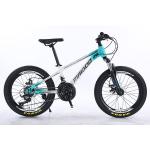 20" 21s Kids Bike Children's Bike With Customized Logo And Aluminum Alloy Rim