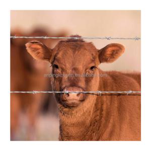 China Galvanized/PVC Coated Barbed Wire Mesh for Protection of Grassland Boundary on Railway factory