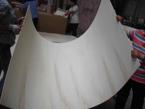 China Full Poplar Platform/poplar plywood factory