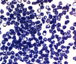 Synthetic Diamond Nano Powder Wear Resistant Detonation Method