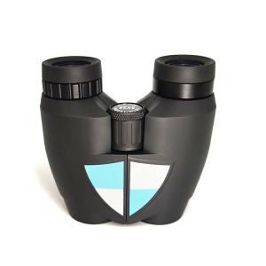 China 10x25 Compact Shockproof HD Binoculars Telescope For Kids Adults factory