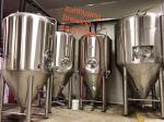 100L-1000L Craft beer making equipment 3 Vessel Brewhouse Beer Brewery Plant