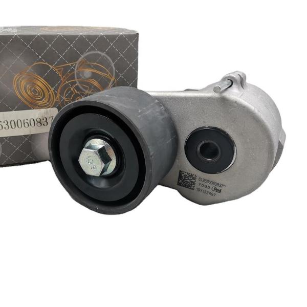 SHIPPING WAYS DHL UPS FEDEX EMS SEA Belt Tensioner for SINOTRUK HOWO SHACMAN