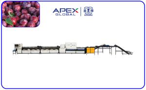 China 380V/50Hz Computer Control Intelligent Plum Sorting Machine on sale