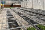 Agricultural Wire Mesh Rolling Grow Tables Greenhouse Hydroponic Rolling Benches