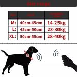 Fancy OEM Pet Collars Leashes Glowing The Dark Airtag Pattern Dog Bark Tracking