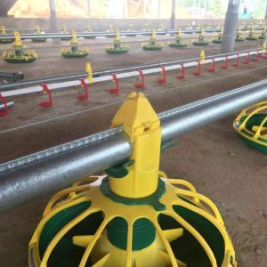 China Poultry Auto Auger Broiler Pan Feeding System Chicken Water Drinking System factory