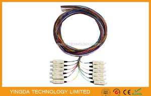 China 850 &amp; 1300nm Fiber Optic Pigtail SC MM 50 / 125um 12 Fibers Pigtail LSZH Multimode 3M factory