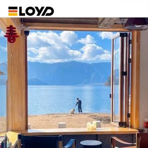 China High-Security Aluminum Folding Window with Multi-Point Lock on sale