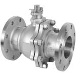 Stainless Steel 304 DN40 Flanged Check Valve with Lift Design and ISO9001