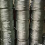 Construction-Grade SS316 7X7 7X19 Stainless Steel Wire Rope with Tolerance Other