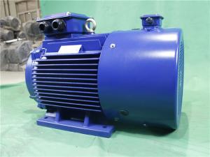 China YVFE3 315M-2 132kW 380V IP55 LV Variable Frequency Motor 2975RPM factory