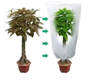 China Windproof Winter Tree Cover Bag Durable , Anti Freeze Frost Bags For Trees factory
