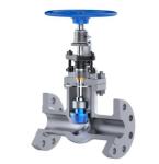 Stainless Steel Cryogenic Globe Valve Extended Stem And Others For Industrial